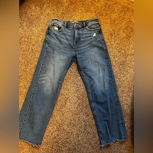 LOFT Women’s Straight Women's Jeans